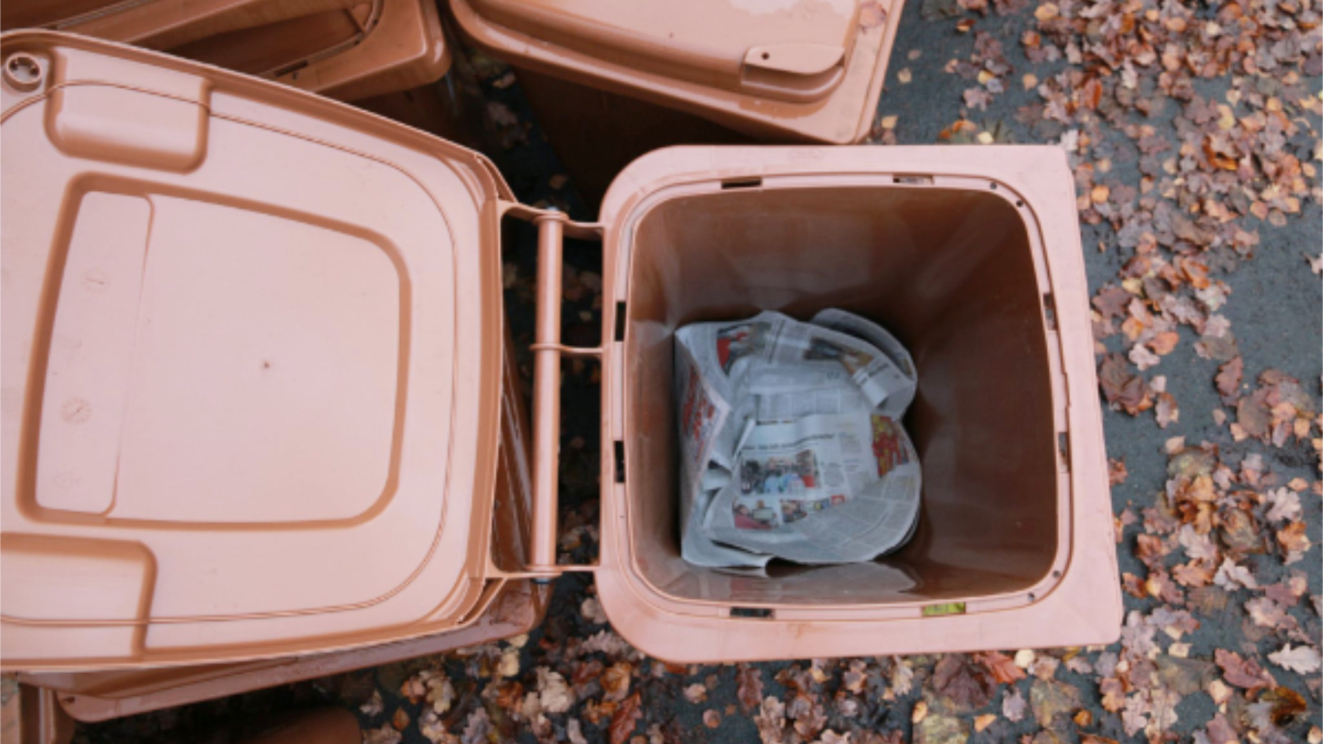 Der offene Deckel ermöglicht einen Blick von oben in eine Biotonne. Auf dem Boden liegt Zeitungspapier